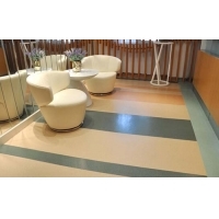 遂寧辦公室與展廳的理想之選 韓華PVC塑膠地板